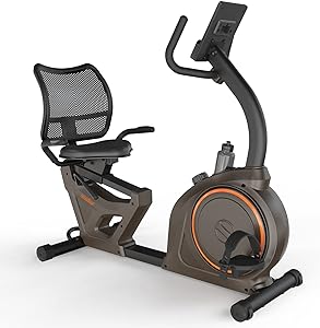 Niceday Indoor Recumbent Exercise Bike for 400 lbs Person