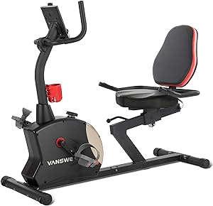 VANSWE Recumbent Exercise Bike for 400 lbs Person