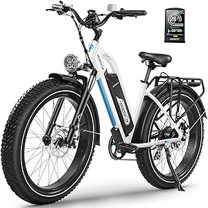 MULTIJOY Electric Bike for 300-350 lb person