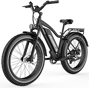 Himiway Cruiser Electric Bike for 300-350 lb person