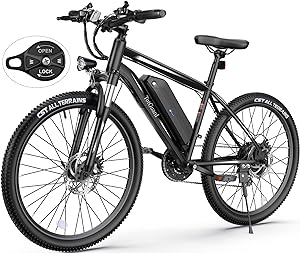 Wooken Electric Bike for 300-350 lb person