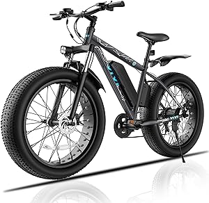 Vivi F26F Electric Bike for 300-350 lb person