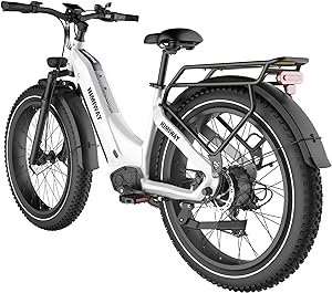 Himiway Zebra electric bike for 400 lbs 